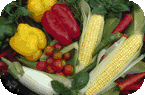 Vegetable Growing