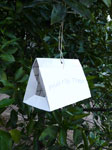 Fruit fly trap to protect baits from weather